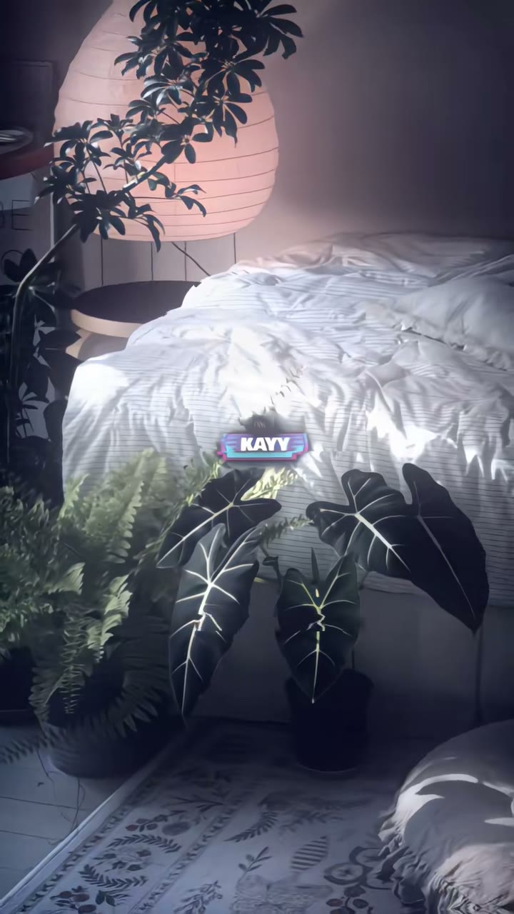 kayneverdie Preset — Alight Motion preset by kayneverdie