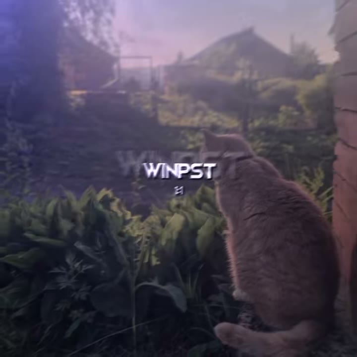 winkoko_preset Preset — Alight Motion preset by winkoko_preset