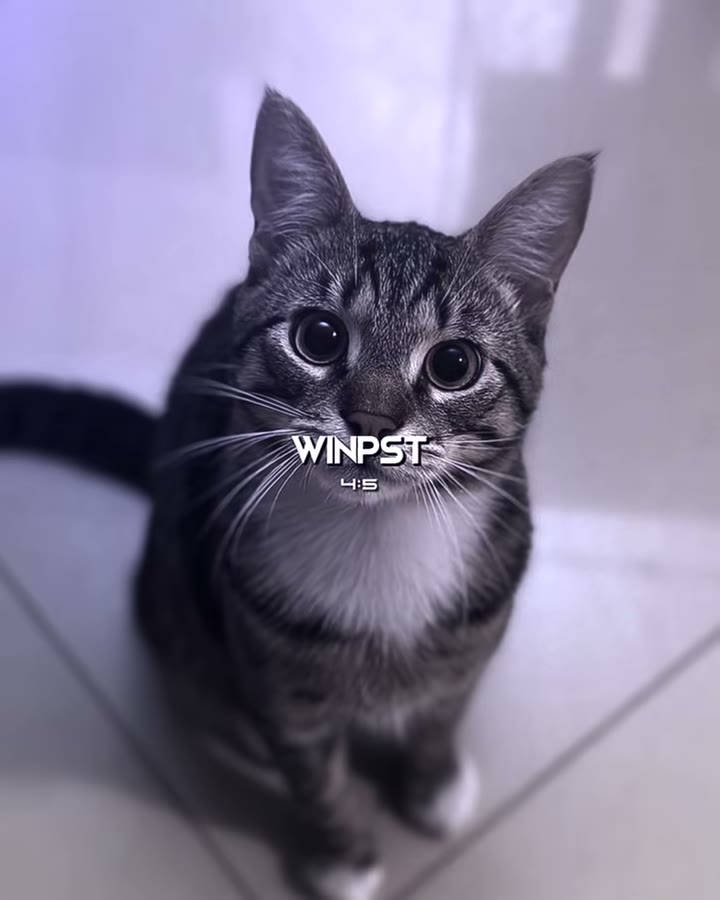 winkoko_preset Preset — Alight Motion preset by winkoko_preset