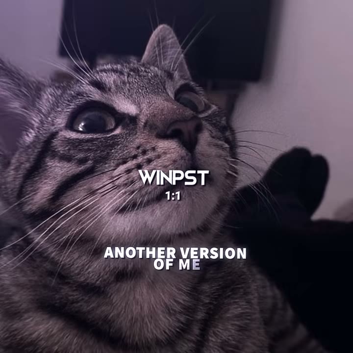 winkoko_preset Preset — Alight Motion preset by winkoko_preset