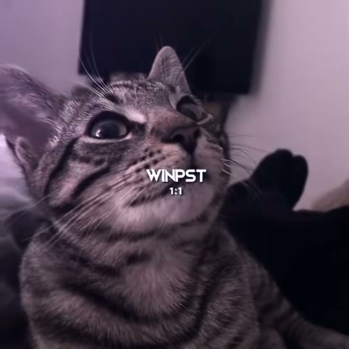 winkoko_preset Preset — Alight Motion preset by winkoko_preset