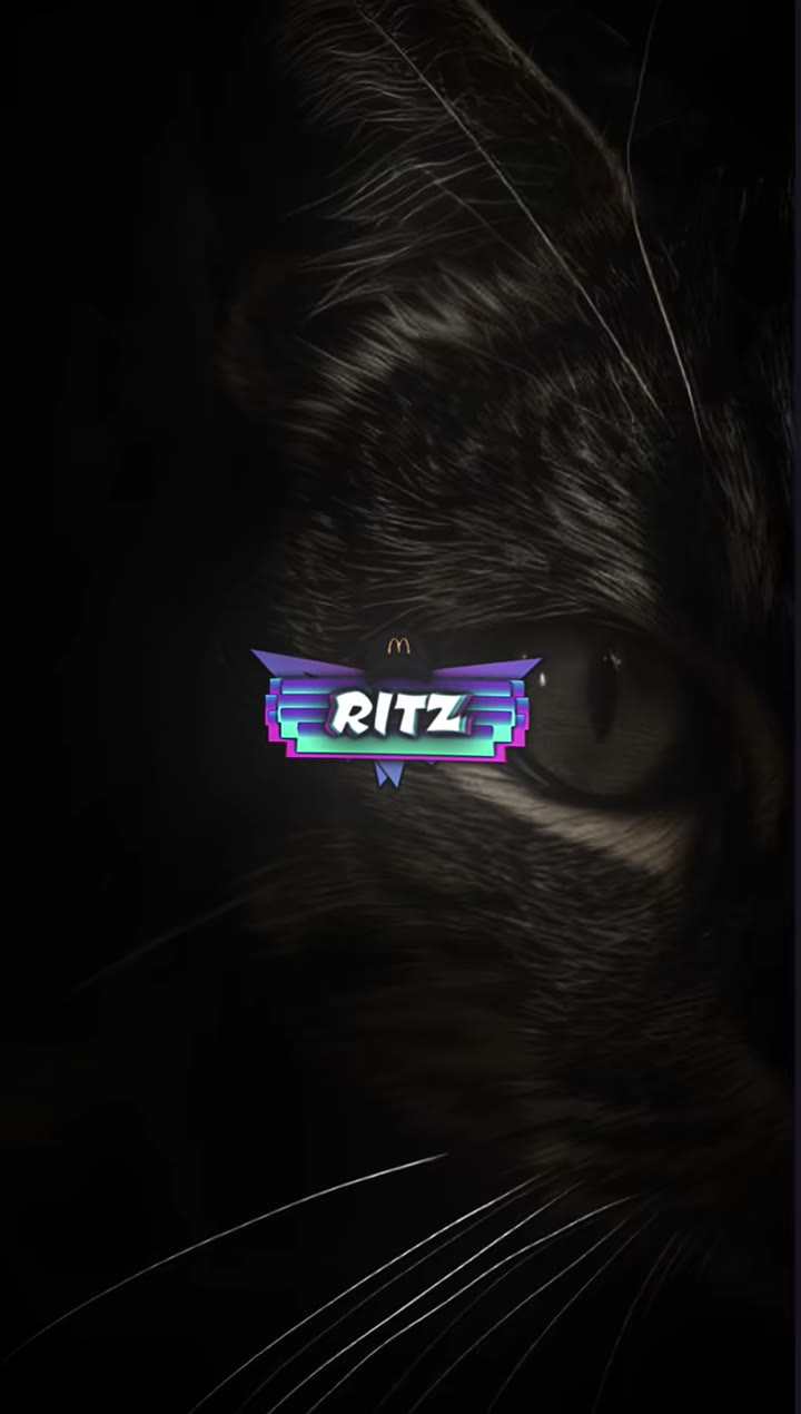 ritz_preset_official Preset — Alight Motion preset by ritz_preset_official