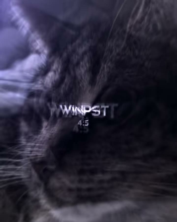 winkoko_preset Preset — Alight Motion preset by winkoko_preset