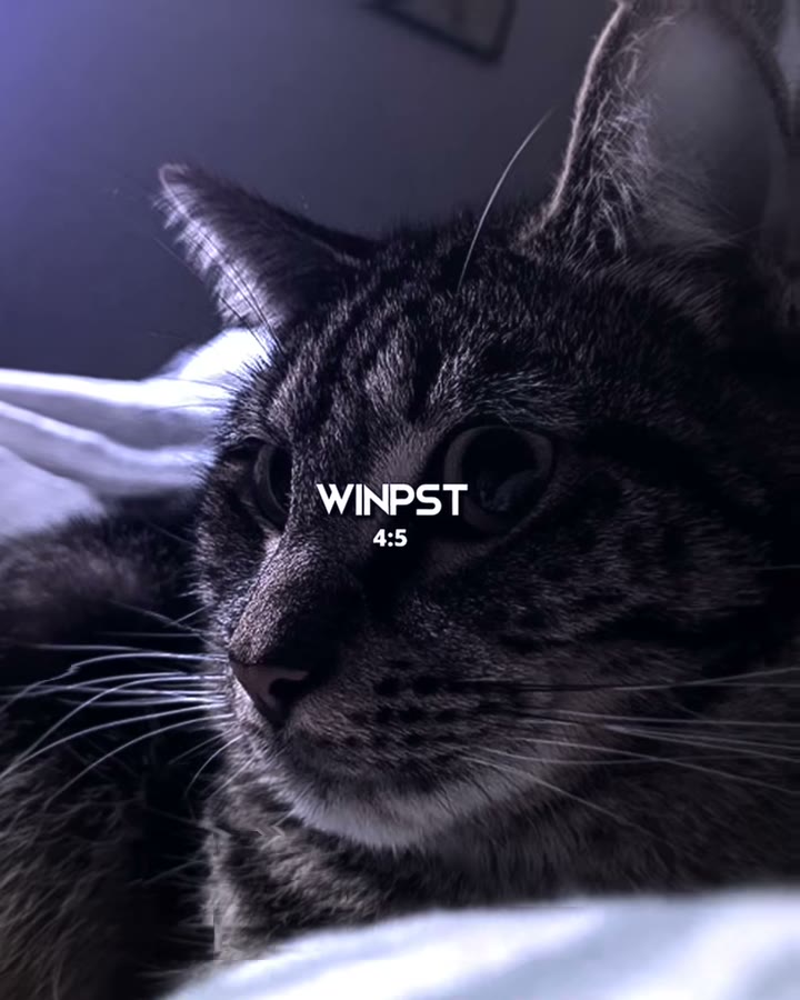 winkoko_preset Preset — Alight Motion preset by winkoko_preset