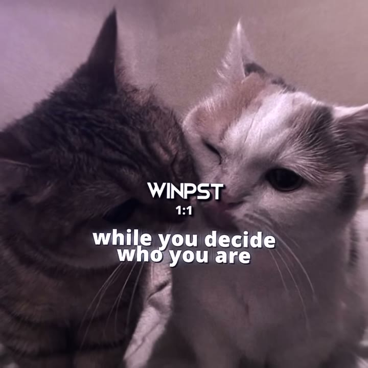winkoko_preset Preset — Alight Motion preset by winkoko_preset