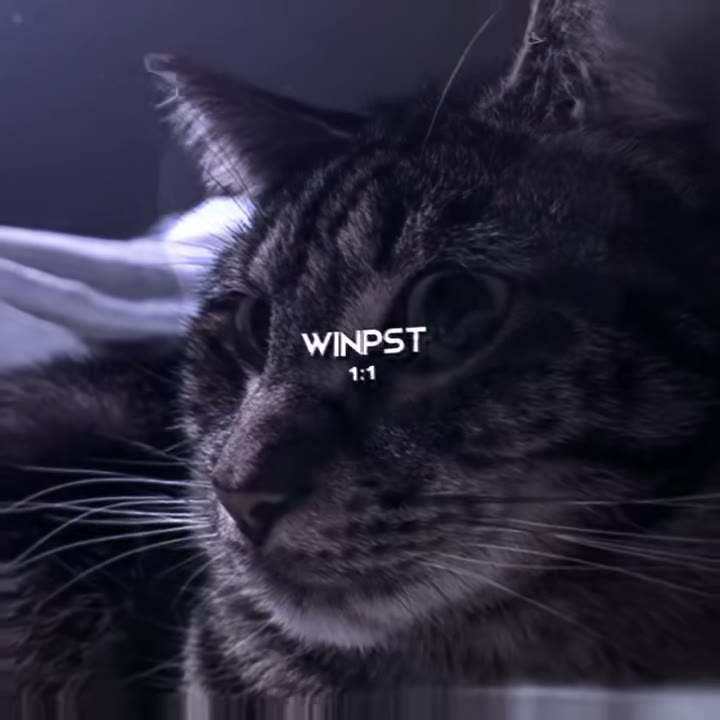 winkoko_preset Preset — Alight Motion preset by winkoko_preset