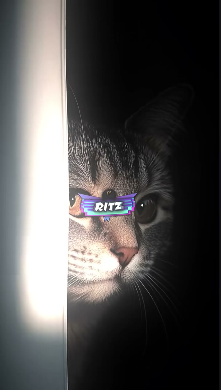 ritz_preset_official Preset — Alight Motion preset by ritz_preset_official