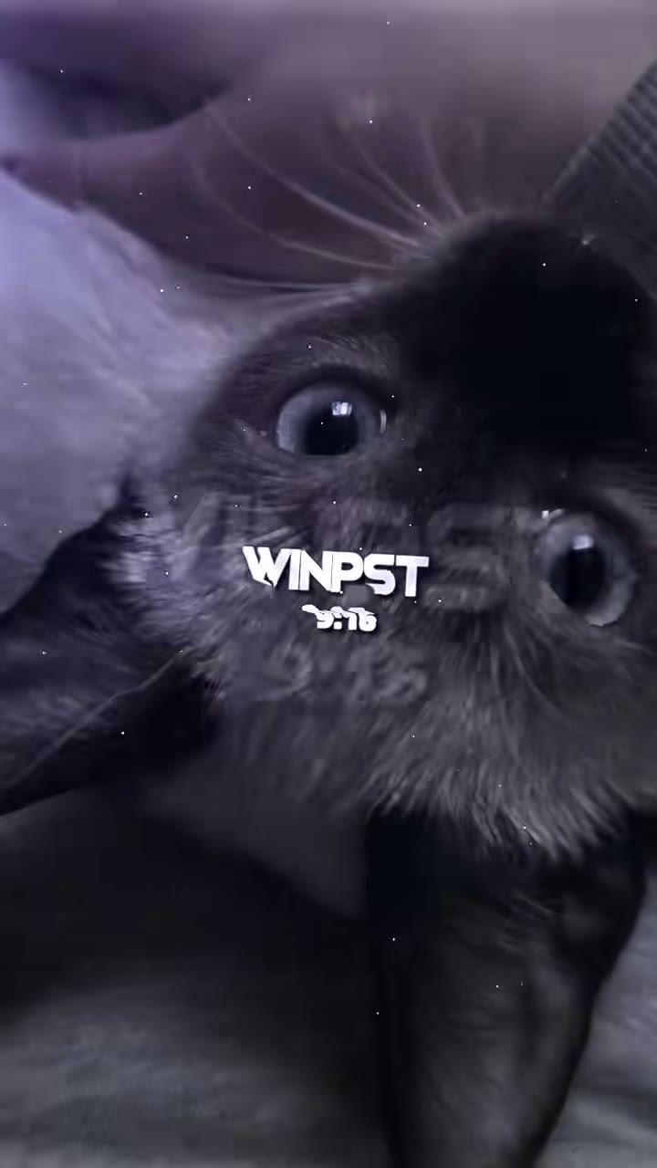 winkoko_preset Preset — Alight Motion preset by winkoko_preset