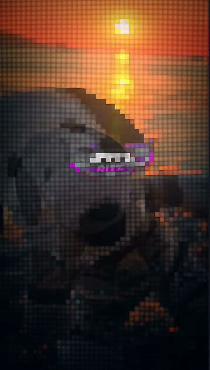 ritz_preset_official Preset — Alight Motion preset by ritz_preset_official