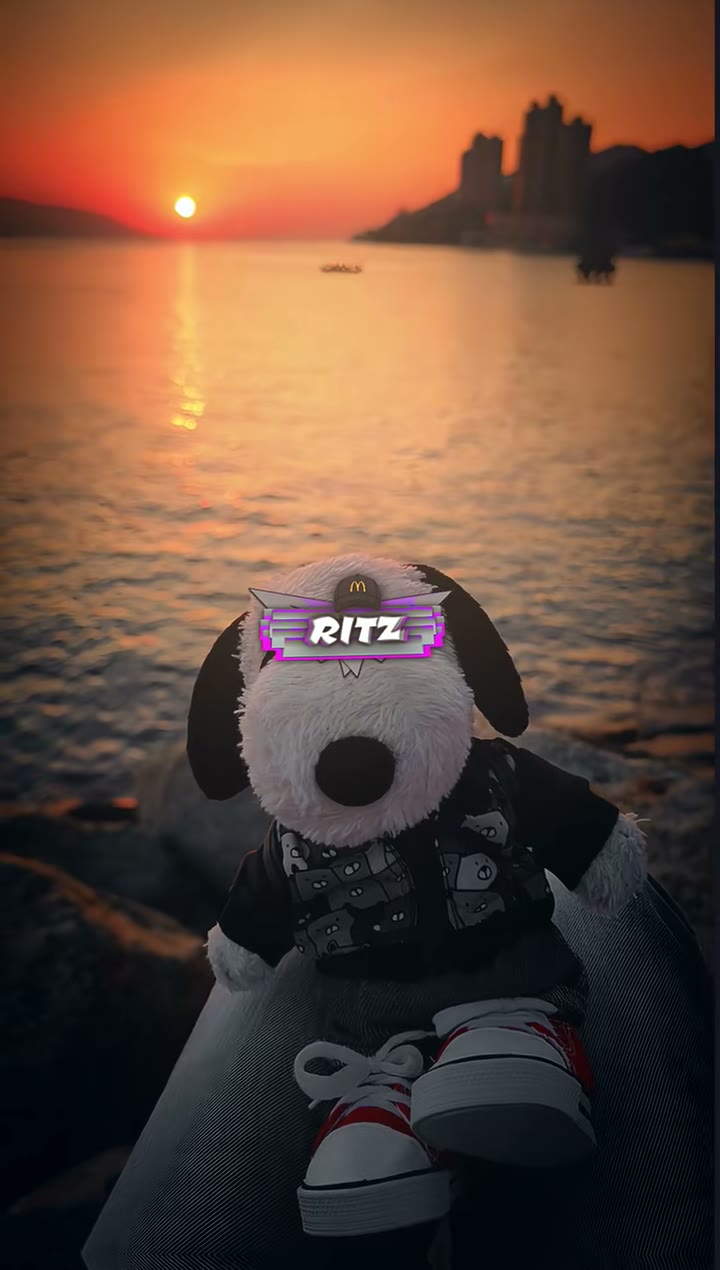 ritz_preset_official Preset — Alight Motion preset by ritz_preset_official