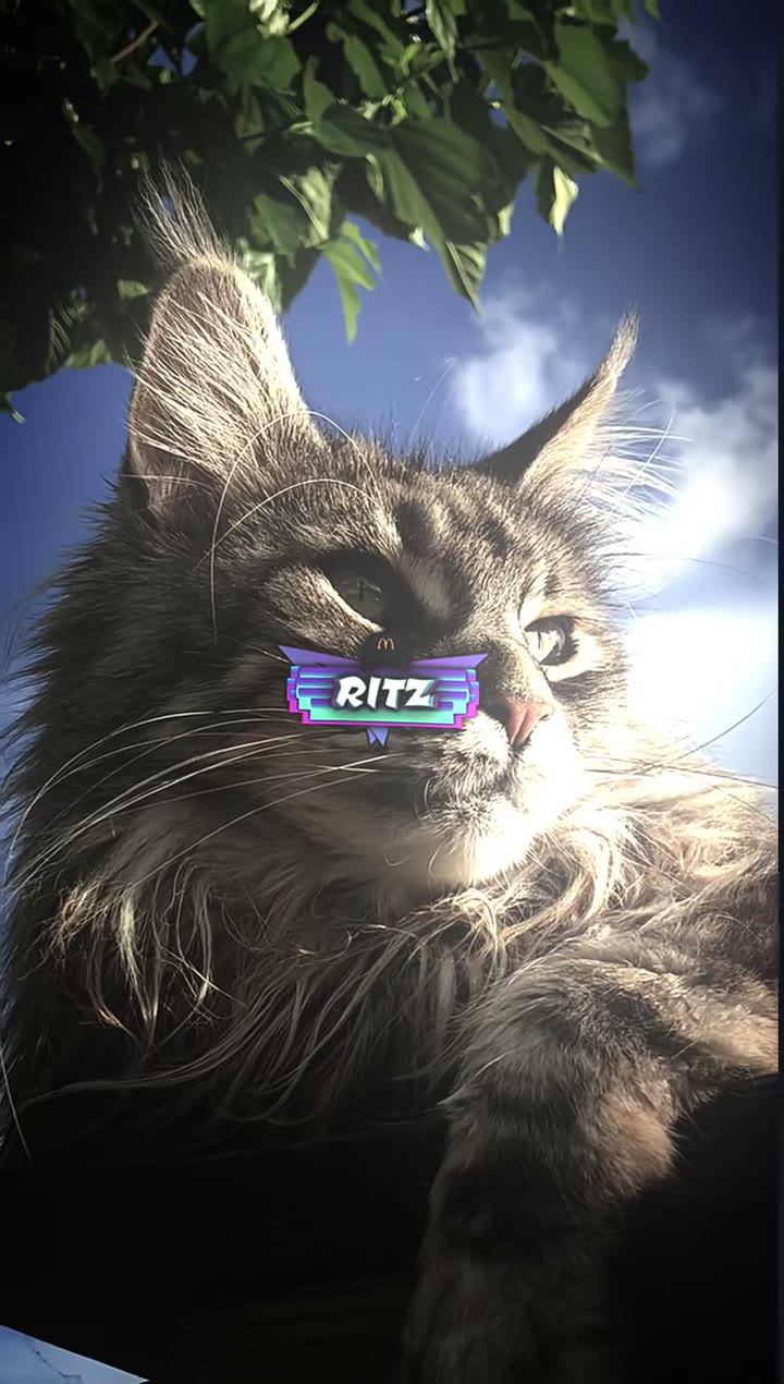 ritz_preset_official Preset — Alight Motion preset by ritz_preset_official