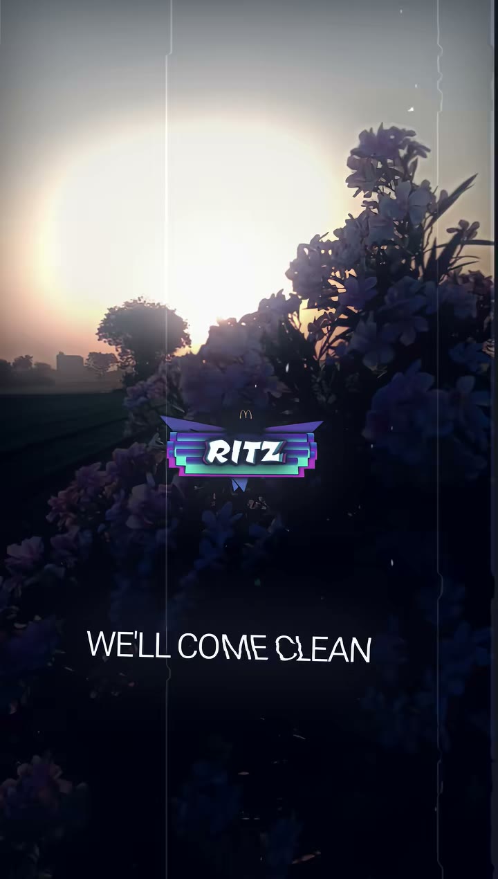 ritz_preset_official Preset — Alight Motion preset by ritz_preset_official