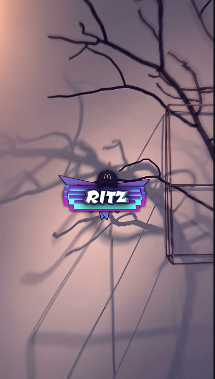 ritz_preset_official Preset — Alight Motion preset by ritz_preset_official