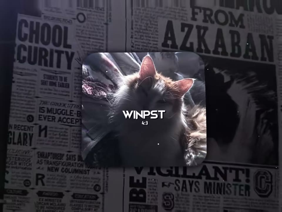 winkoko_preset Preset — Alight Motion preset by winkoko_preset